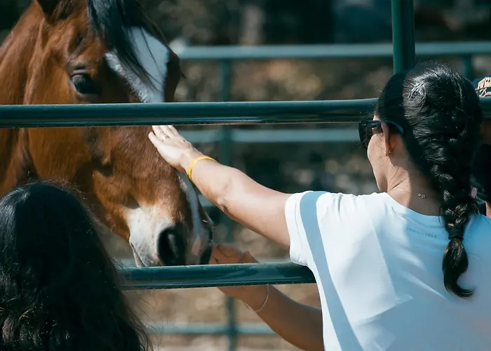 Hotel Fazenda Dona Carolina